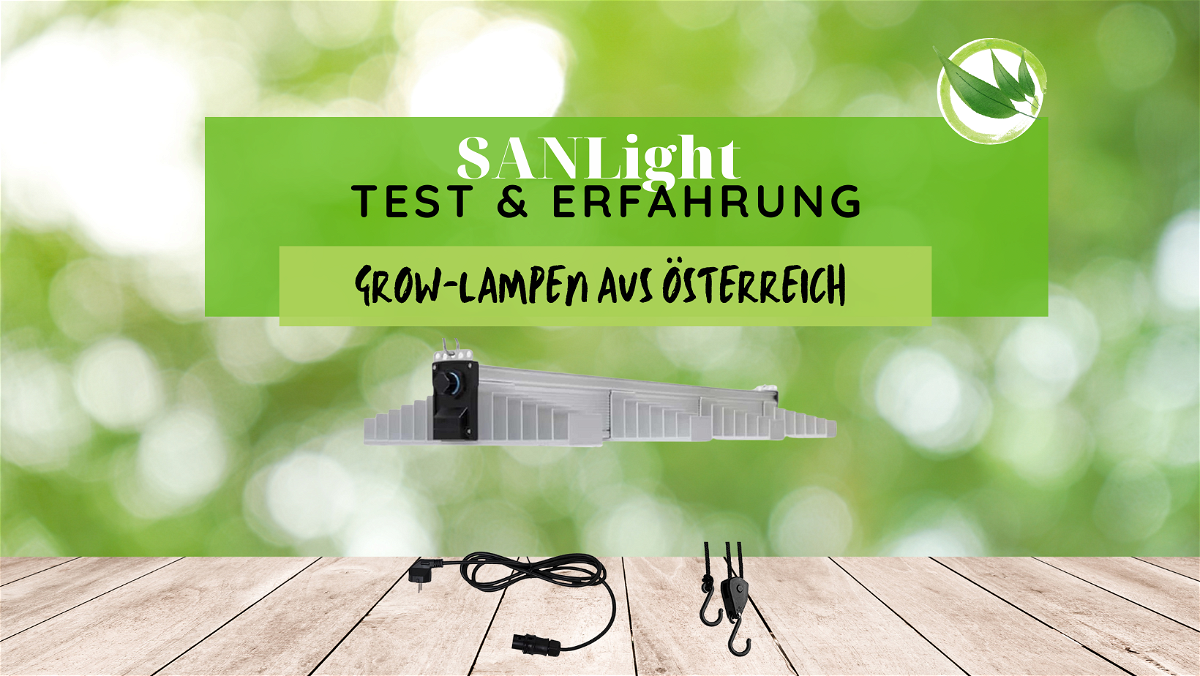SANLight Test & Erfahrung 2024 – Grow-Lampen aus Österreich