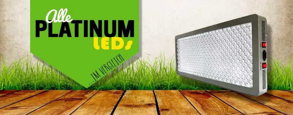 Platinum LED Grow Lampen Test