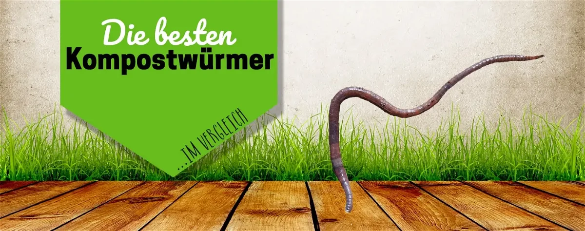 Kompostwürmer: Die unsichtbaren Superhelden des Gartens