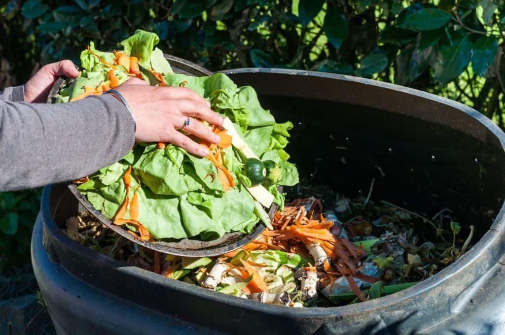 Biomüll wird in Komposter gelegt