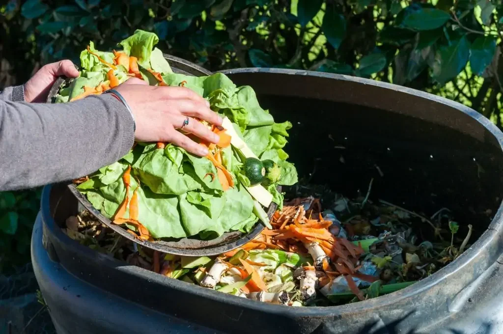 Biomüll wird in Komposter gelegt