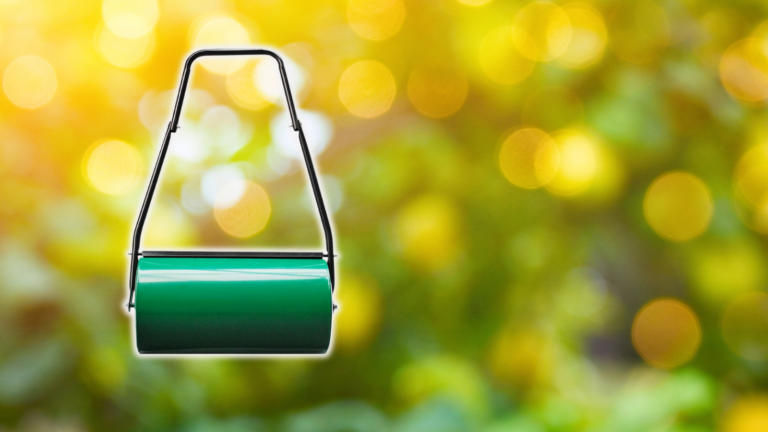 Grüne Lunchbox mit Bokeh-Hintergrund