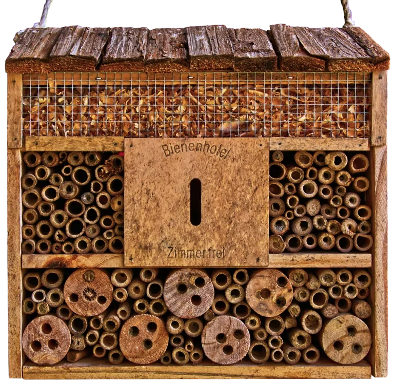 Front eines Bienenhauses