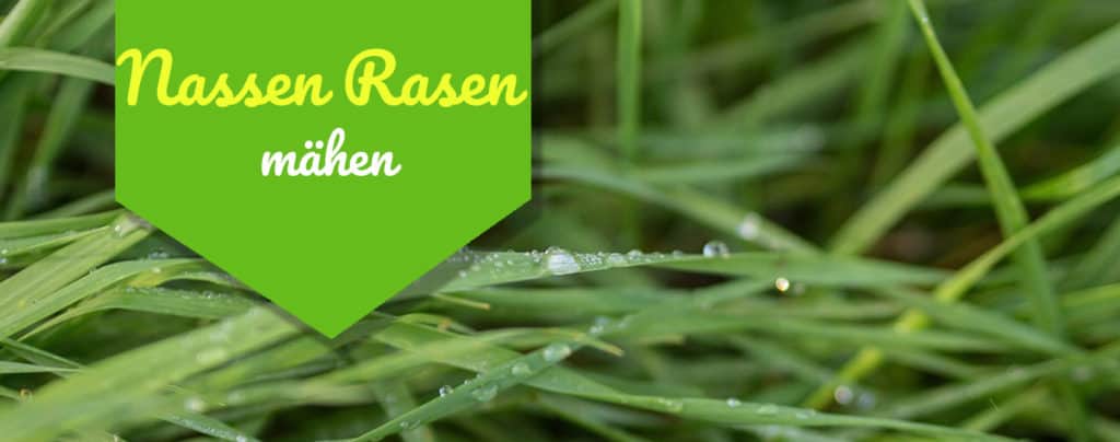 【ᐅ】Richtig den Rasen sanden Das solltest Du vorher wissen