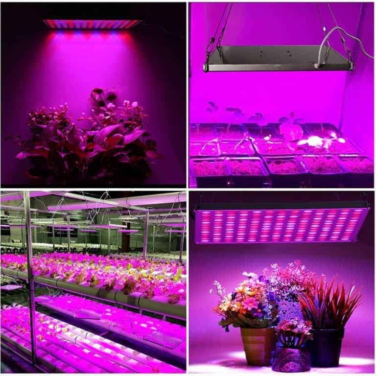 Pflanzenlampe Roleadro LED 600W Vollspektrum Blüte Gemüse Gewächshaus EU Stecker 