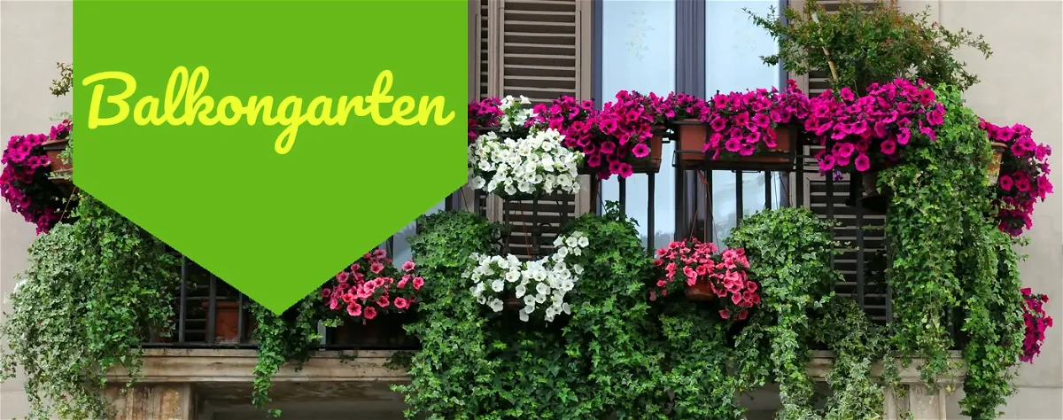 Balkongarten anlegen – 10 Tipps für einen grünen Balkon