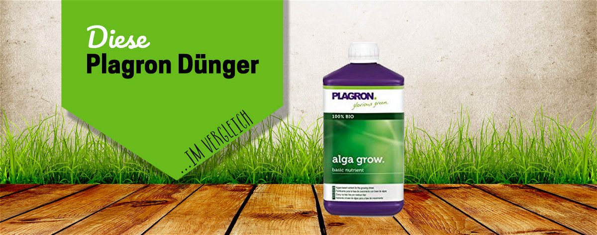 Plagron Dünger & Nährstoffe: Lasst Eure Pflanzen in Rekordzeit wachsen