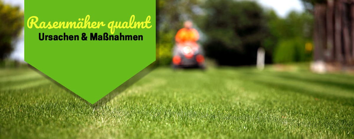 Rasenmäher qualmt? Ursachen & schnelle Maßnahmen