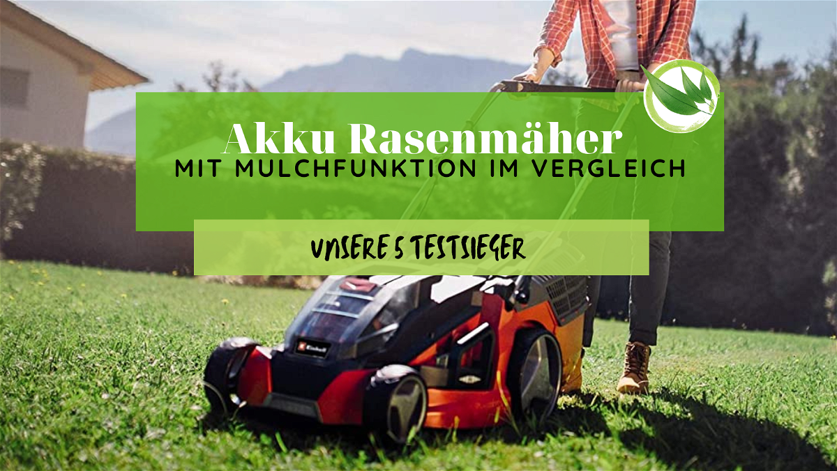 Akku Rasenmäher mit Mulchfunktion Test: Unsere 5 Testsieger vorgestellt