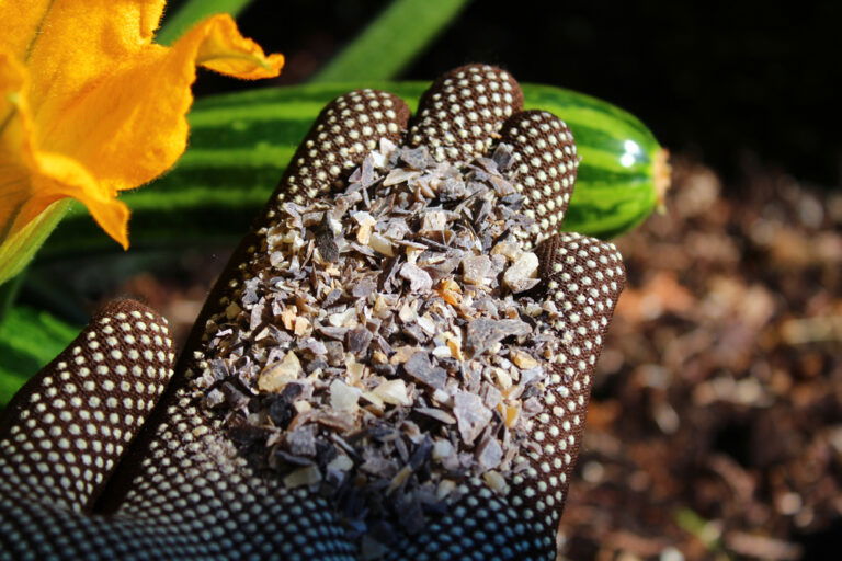 Hortensien düngen mit Hausmitteln 8 wirksame Dünger ? 2025