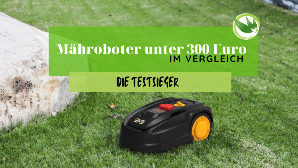 Rasenroboter ohne Begrenzungskabel Test (2024) 5 Geräte mit