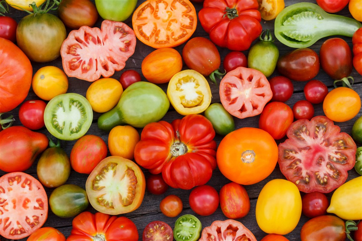 Die schönsten Tomatensorten: Finde die perfekte Sorte für Deinen Garten