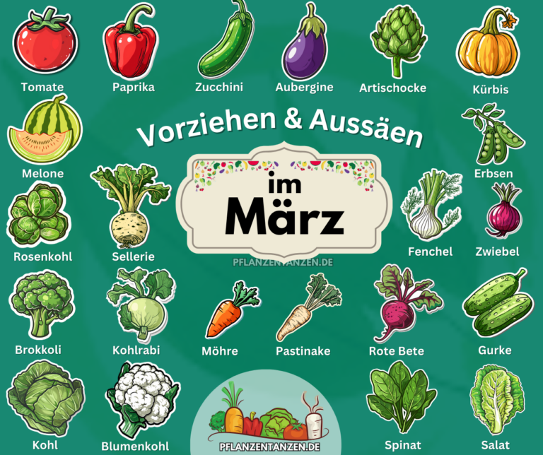 Gartenkalender März Gemüse & KräuterAussaat und die wichtigsten