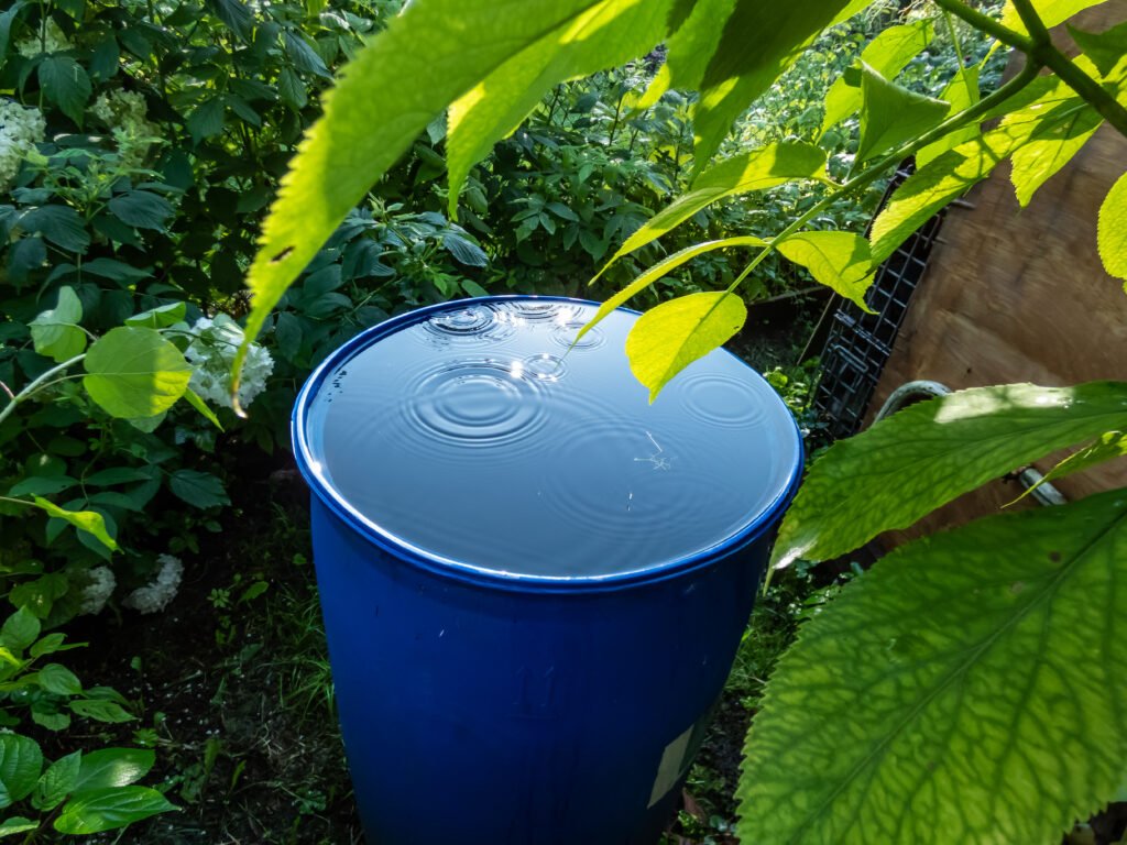 Blue, plastic water barrel reused for collecting and storing rainwater for watering plants full with water and water dripping from the roof during summer day surrounded with vegetation