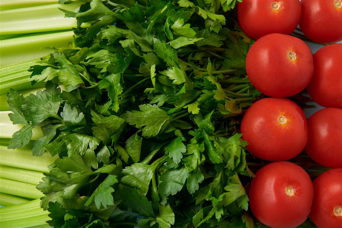 full frame of fresh tomatoes, celery and parsley background
