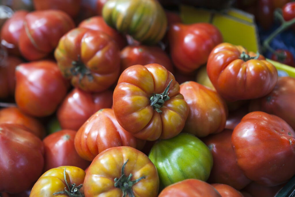 Tomaten auspflanzen ins Freie Wann darf ich 2025 setzen