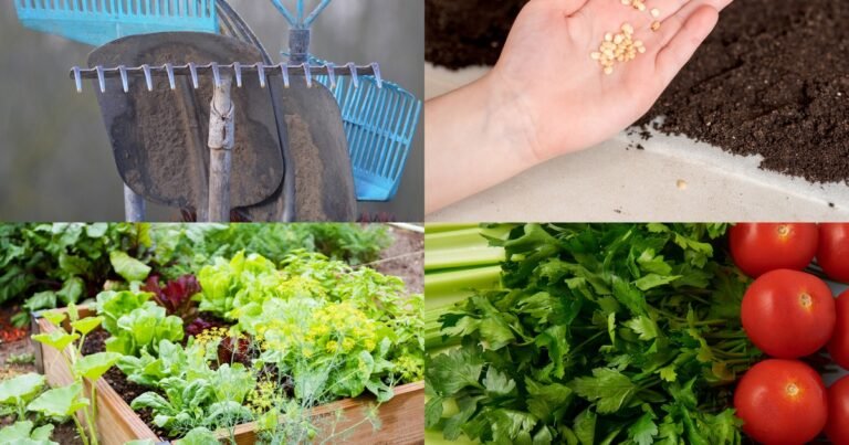 Gartenarbeit: Werkzeuge, Aussaat, Gemüsebeet und Ernte.