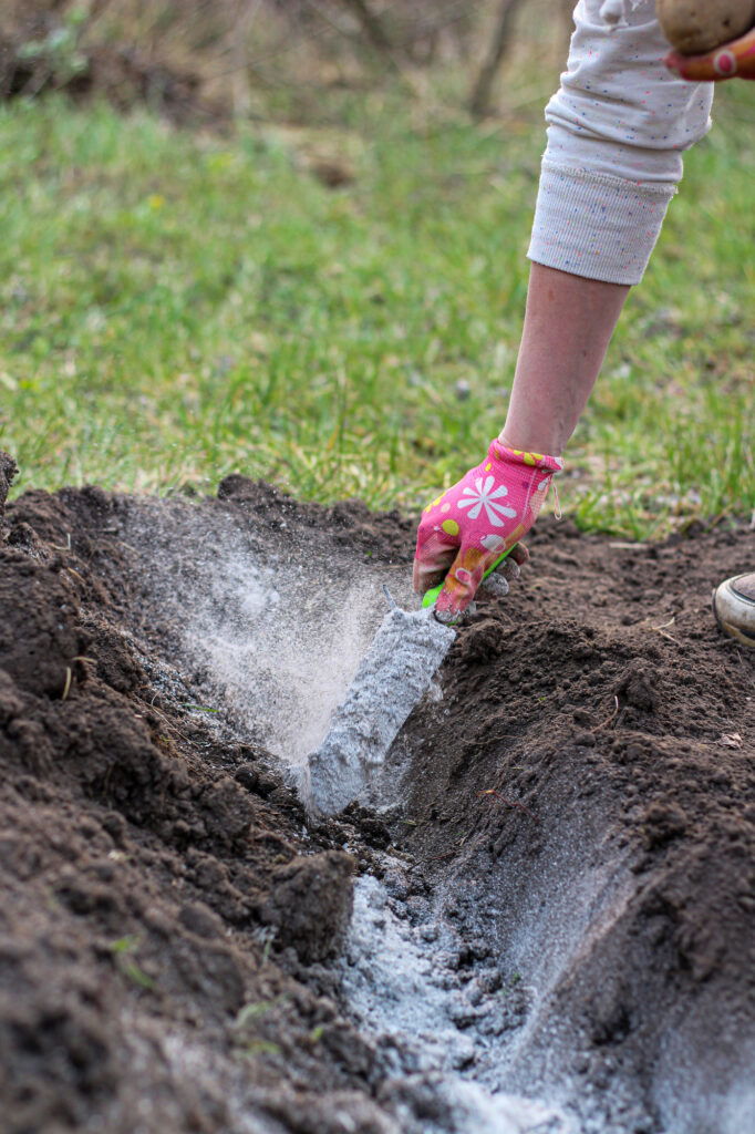 Hand verteilt Asche im Gartenbeet.