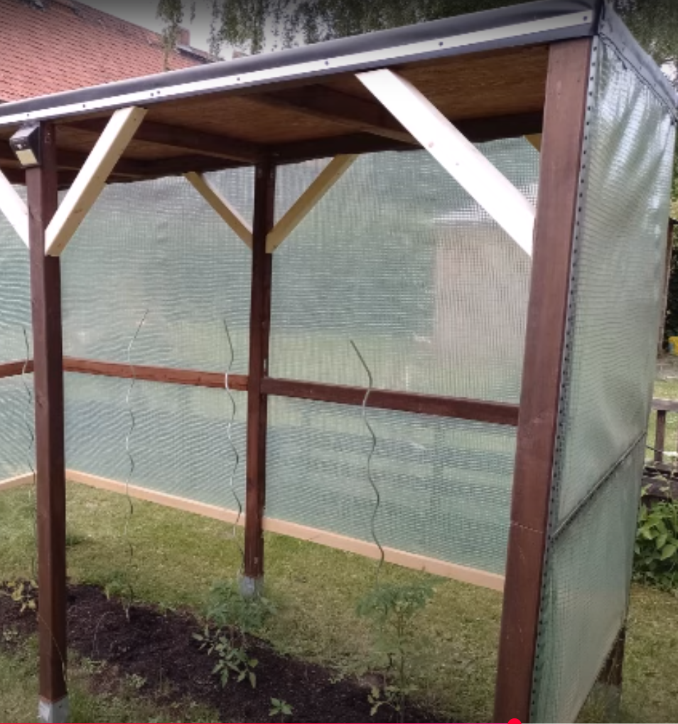 Gewächshaus mit Tomatenpflanzen im Garten