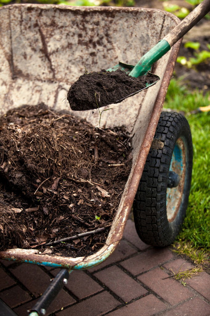 Schubkarre mit Erde und Schaufel im Garten