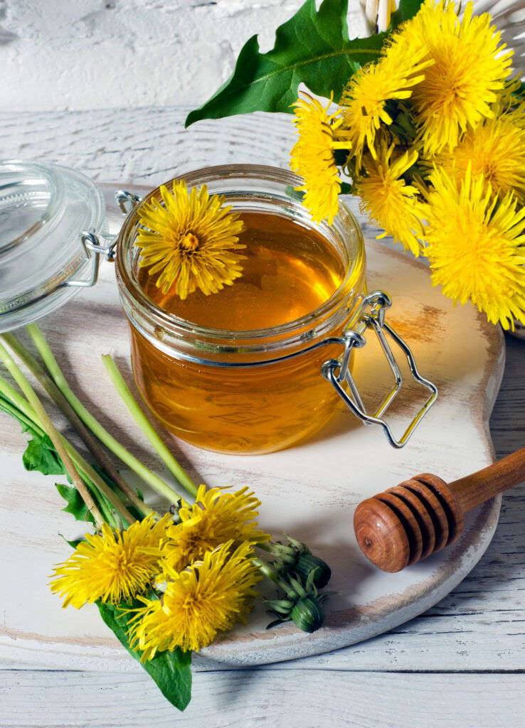 Löwenzahnhonig im Glas mit frischen Blüten